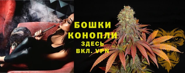 стаф Бронницы