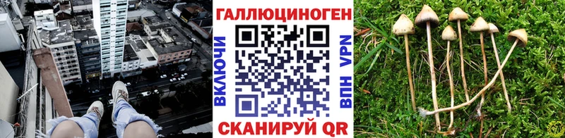 что такое наркотик  Видное  Галлюциногенные грибы Cubensis 